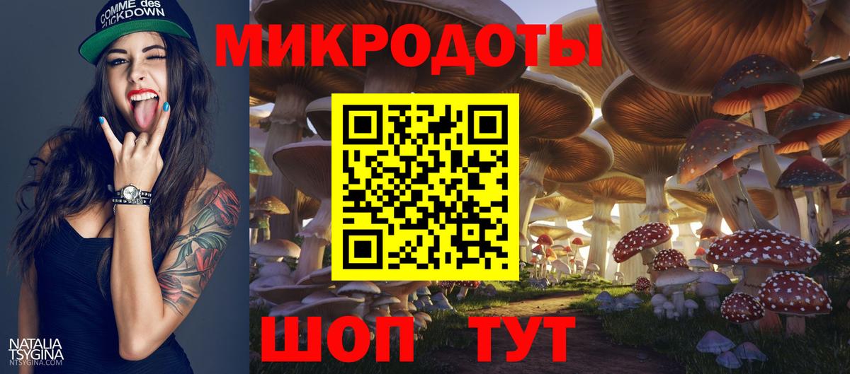 Галлюциногенные грибы Psilocybe  где продают   Сегежа  Вход с VPN 